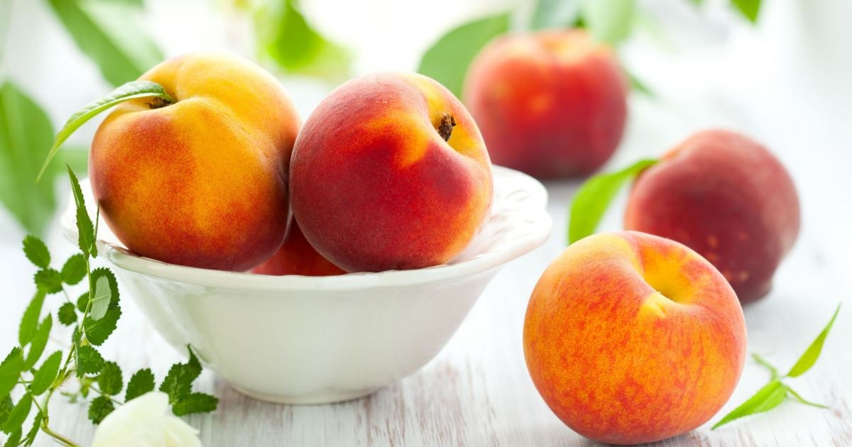 Персики: 11 сильных сортов, которыми гордятся селекционеры - лучшие сорта персиков