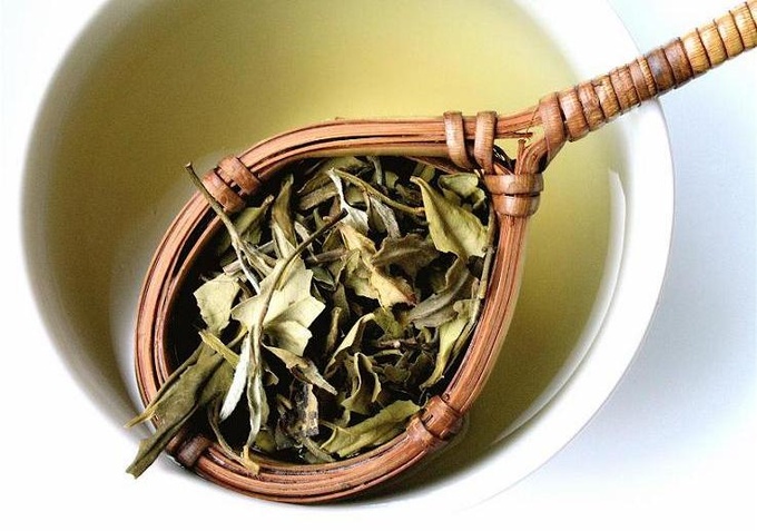 Белый чай – эликсир молодости и долголетия!