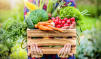 В каких весенних овощах больше всего нитратов?