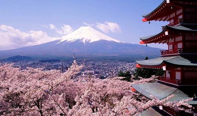 Сегодня в Японии стартовал праздник цветения сакуры