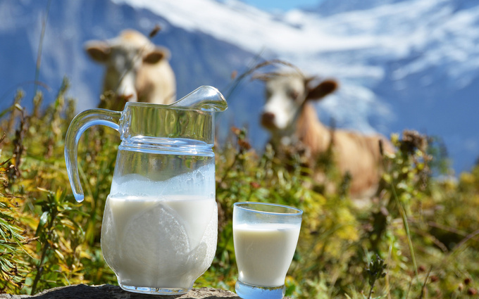Полезные советы: как правильно выбирать молоко