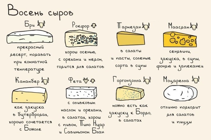 Кулинарная шпаргалка: правила сочетания сыров с продуктами (таблица)