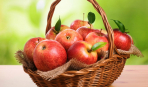 Готовим моченые яблоки на зиму: 9 секретов успешной заготовки