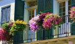 Цветы на вашем балконе