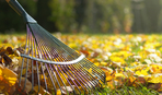 Как использовать осенние листья на садовом участке и дома