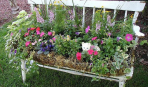Цветочные идеи для вашего сада