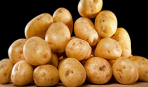 В США вывели диетическую картошку