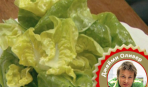Приправленный салат из зелени