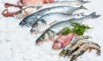 Как готовить рыбу для максимальной пользы: мнение ученых