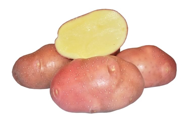Самые вкусные сорта картофеля в Украине - Smak.ua