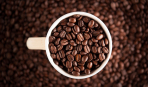 Выбираем кофе: 5 секретов качественного напитка
