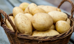 Топ-7 неожиданных фактов о картофеле
