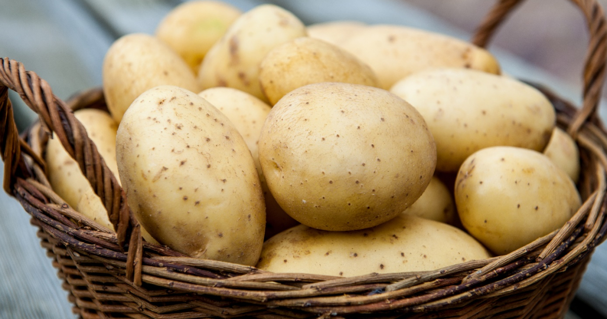 Меню-эконом: 5 лучших блюд из картофеля