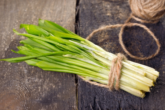 Секреты весенней зелени: сочетание трав в блюдах для весеннего меню
