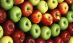 Как привить яблоню: советы агронома