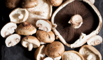 Ученые рассказали, как правильно готовить грибы