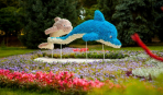 На Певческом поле в Киеве пройдет выставка цветов