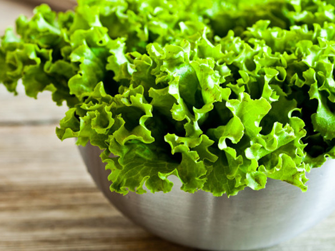 Как вырастить салат на подоконнике за месяц?