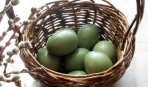 Як пофарбувати яйця натуральними барвниками: зелений