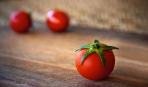 Збільшити урожай помідорів у 8 разів - реально (метод Маслова)