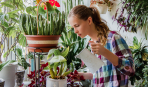 Как организовать полив комнатных растений во время отпуска