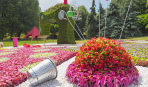 Що здивує на новій квітковій виставці "Світ велетнів" в Києві